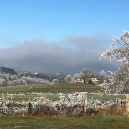 La Vigne, Fully Modernised Dated 1882 Incl Swimming Pool ヴィラ Le Theil (Orne)